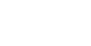 logo-blanc-synergie-conseils