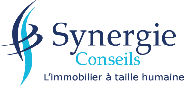 Synergie Conseils